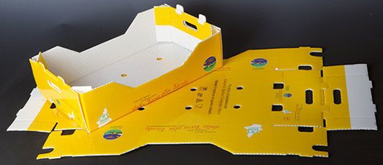 PP-Wellplatten-Plastikblatt für die Verpackung verwendet