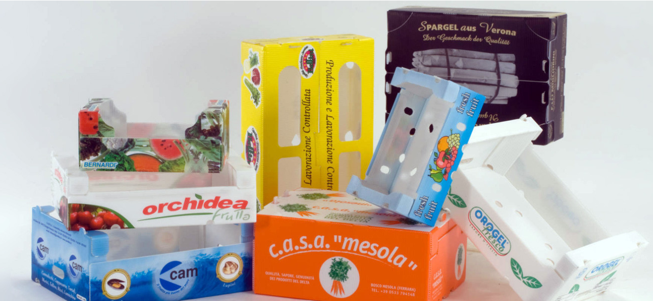 Speicherklappenverpackung PP-Hohlkasten zum Halten von Früchten